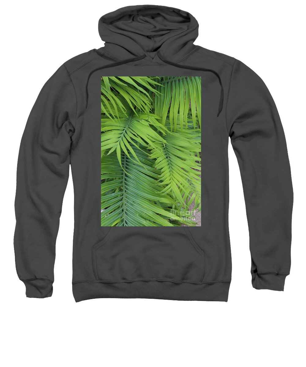 Green Sweatshirt featuring the photograph Ferns by Neala McCarten