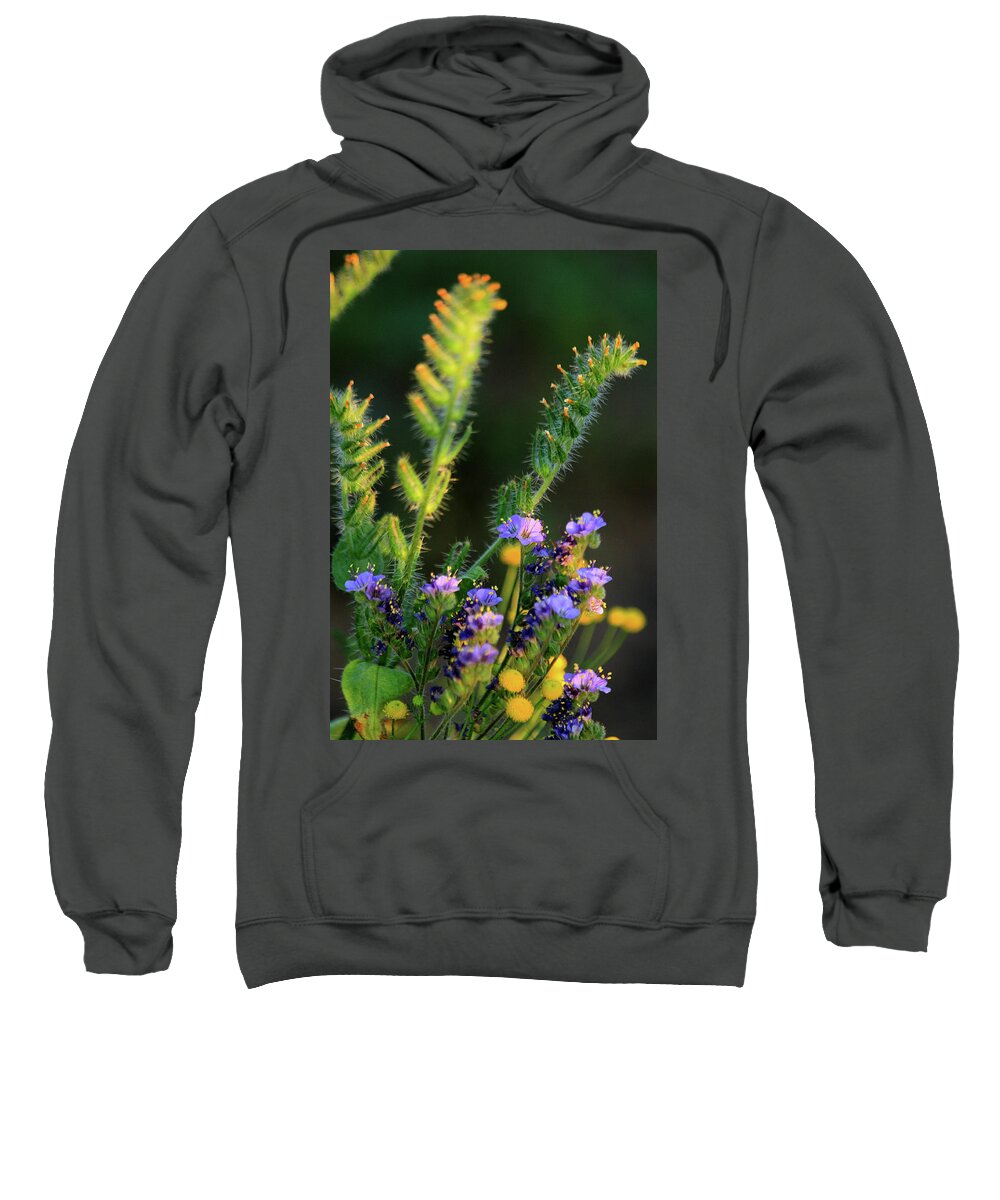 Arizona Wildflowers Sweatshirt featuring the photograph Fiddle Neck Bouquet by Gene Taylor