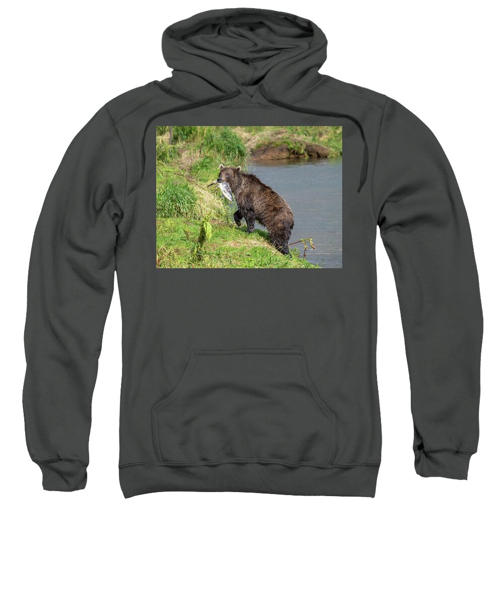 Bear Sweatshirt featuring the photograph Fishing brown bear with salmon by Mikhail Kokhanchikov