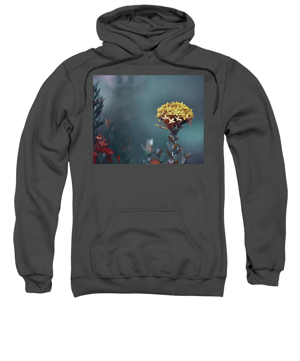 Ixora Coccinea Is A Species Of Flowering Plant In The Family Rubiaceae Sweatshirt featuring the photograph Flame of the Woods 2 by Gian Smith