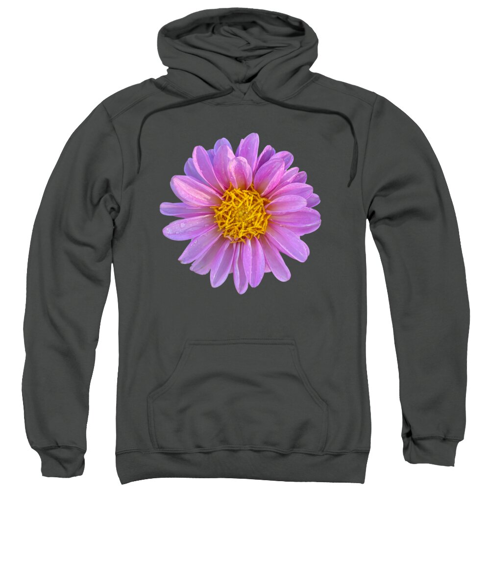 Pink Dahlia Sweatshirt featuring the photograph Flower Power - Pink Dahlia by Carol Groenen