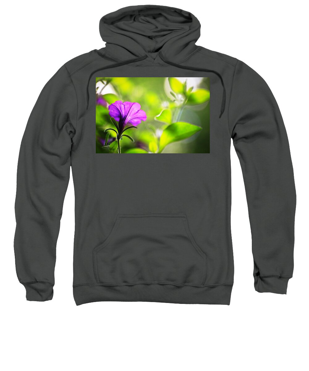 Purple Sweatshirt featuring the photograph Flower Through Sunlight by Carol Jorgensen