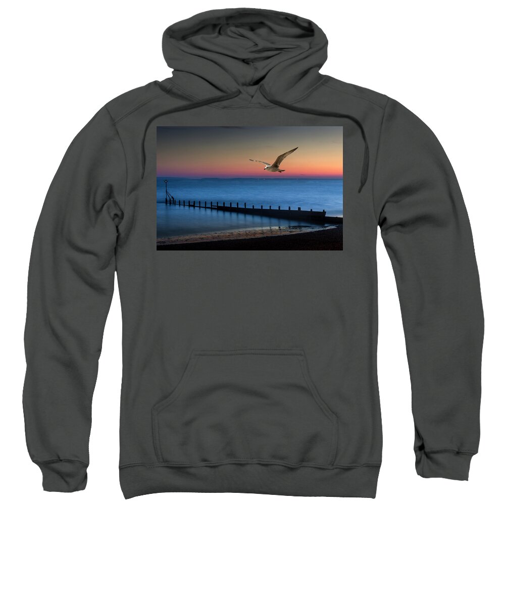 Seagull Sweatshirt featuring the photograph Fly Away by Chris Boulton