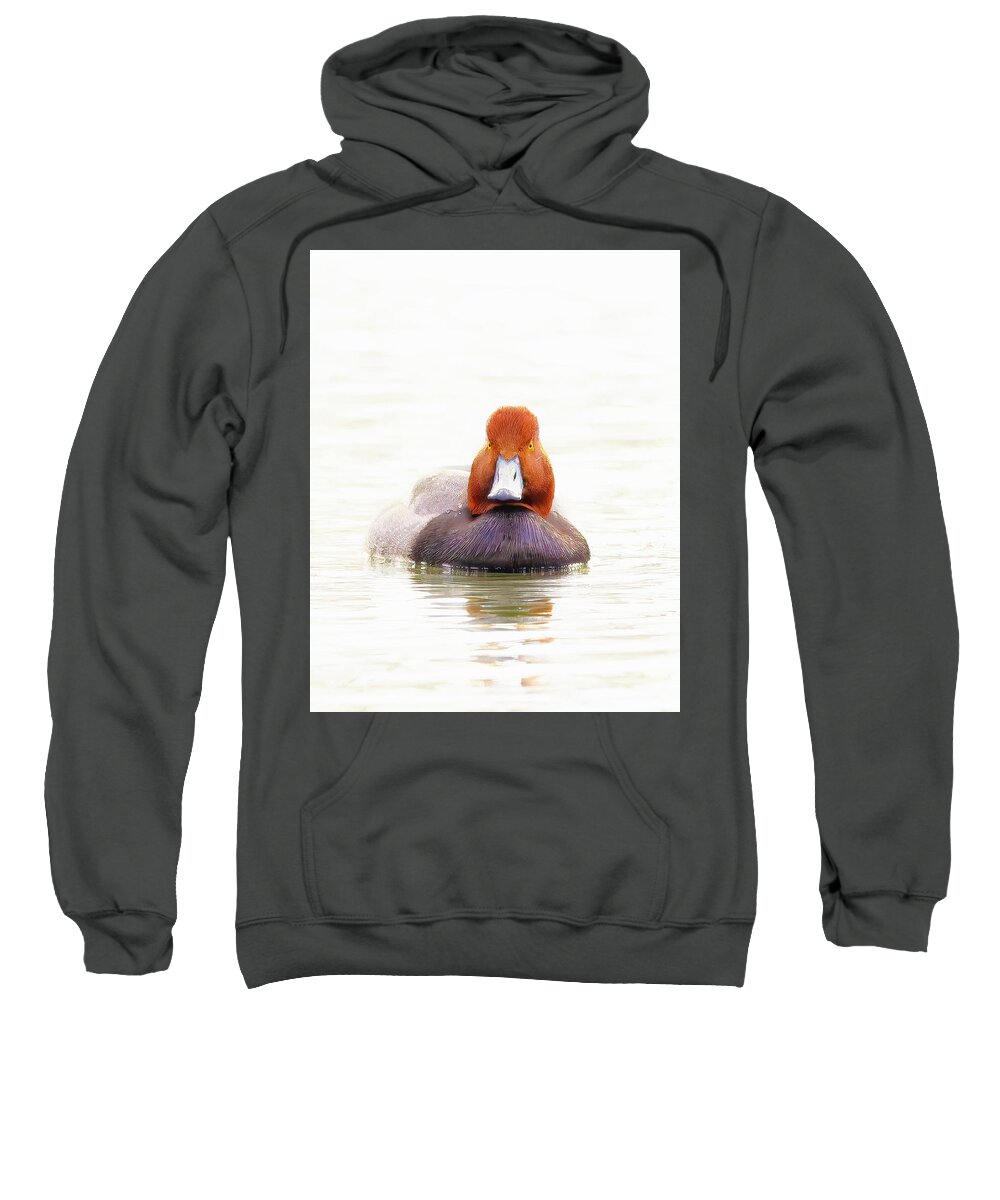 Duck Sweatshirt featuring the photograph Foggy Morning Redhead by Jim E Johnson