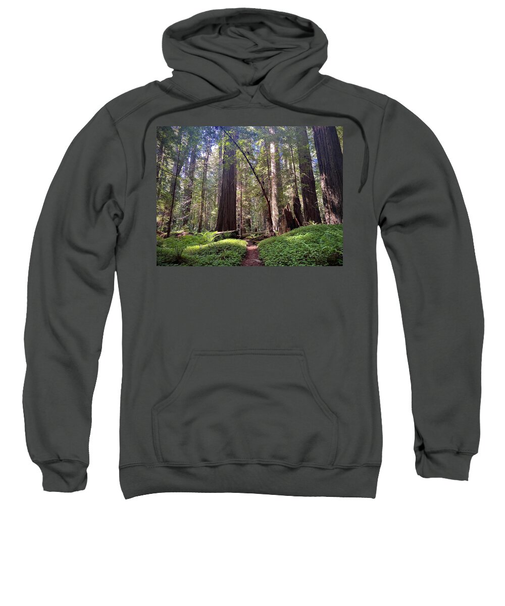 Redwoods. Humboldt County. Trees Sweatshirt featuring the photograph Forest Bathe by Daniele Smith