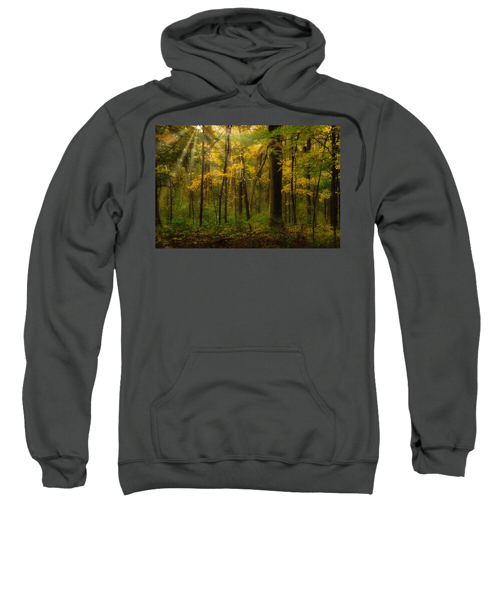 Fall Colors Sweatshirt featuring the photograph Forest glow by Jim Signorelli