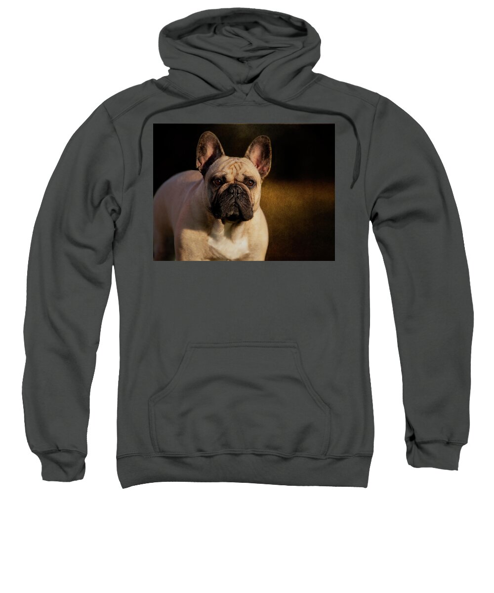 French Bulldog Sweatshirt featuring the photograph French Bulldog by Diana Andersen