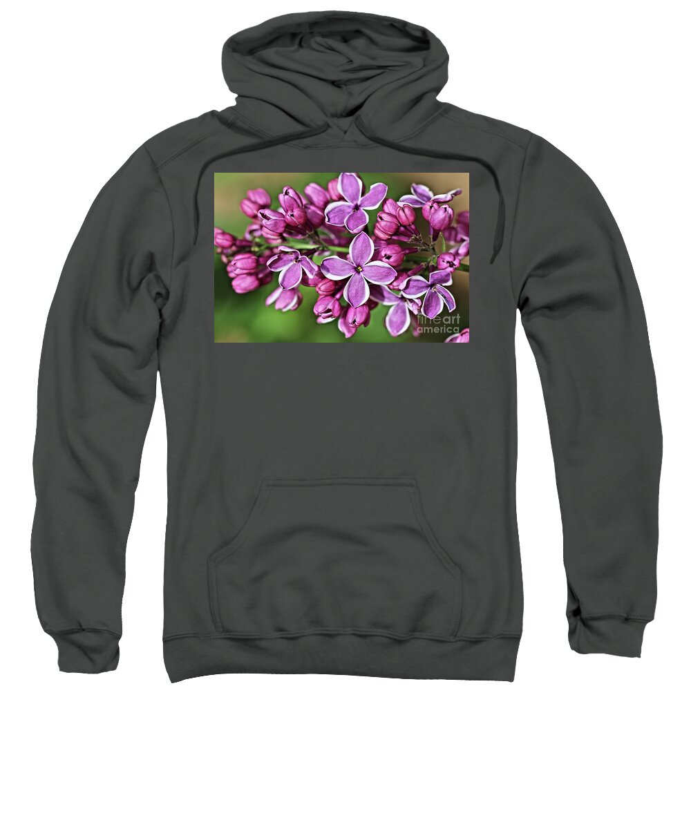Lilac Sweatshirt featuring the photograph French Lilac by Vivian Krug Cotton