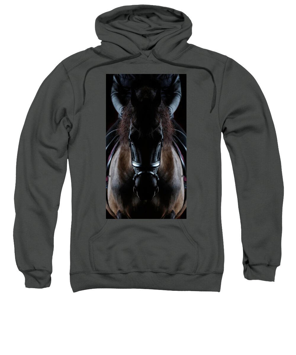 Friesian Symmetry Sweatshirt featuring the photograph Friesian Symmetry by Wes and Dotty Weber