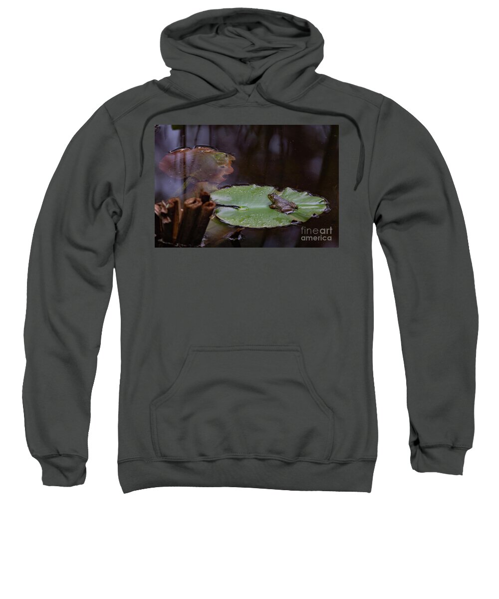 Frog Sweatshirt featuring the photograph Frog on Lilly Pad by Lorraine Cosgrove