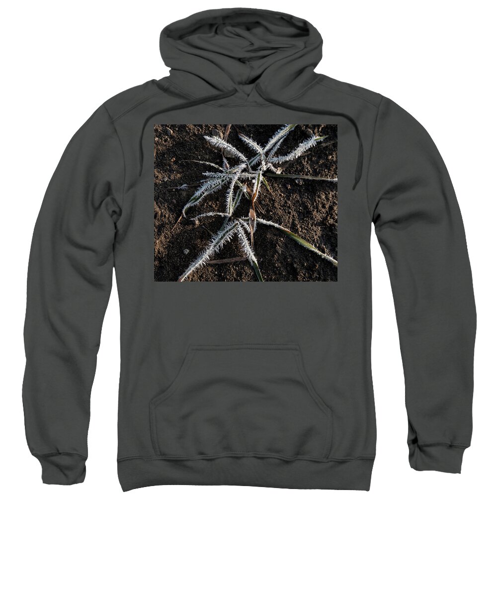 Frost Sweatshirt featuring the photograph Frost On Crabgrass by Karen Rispin