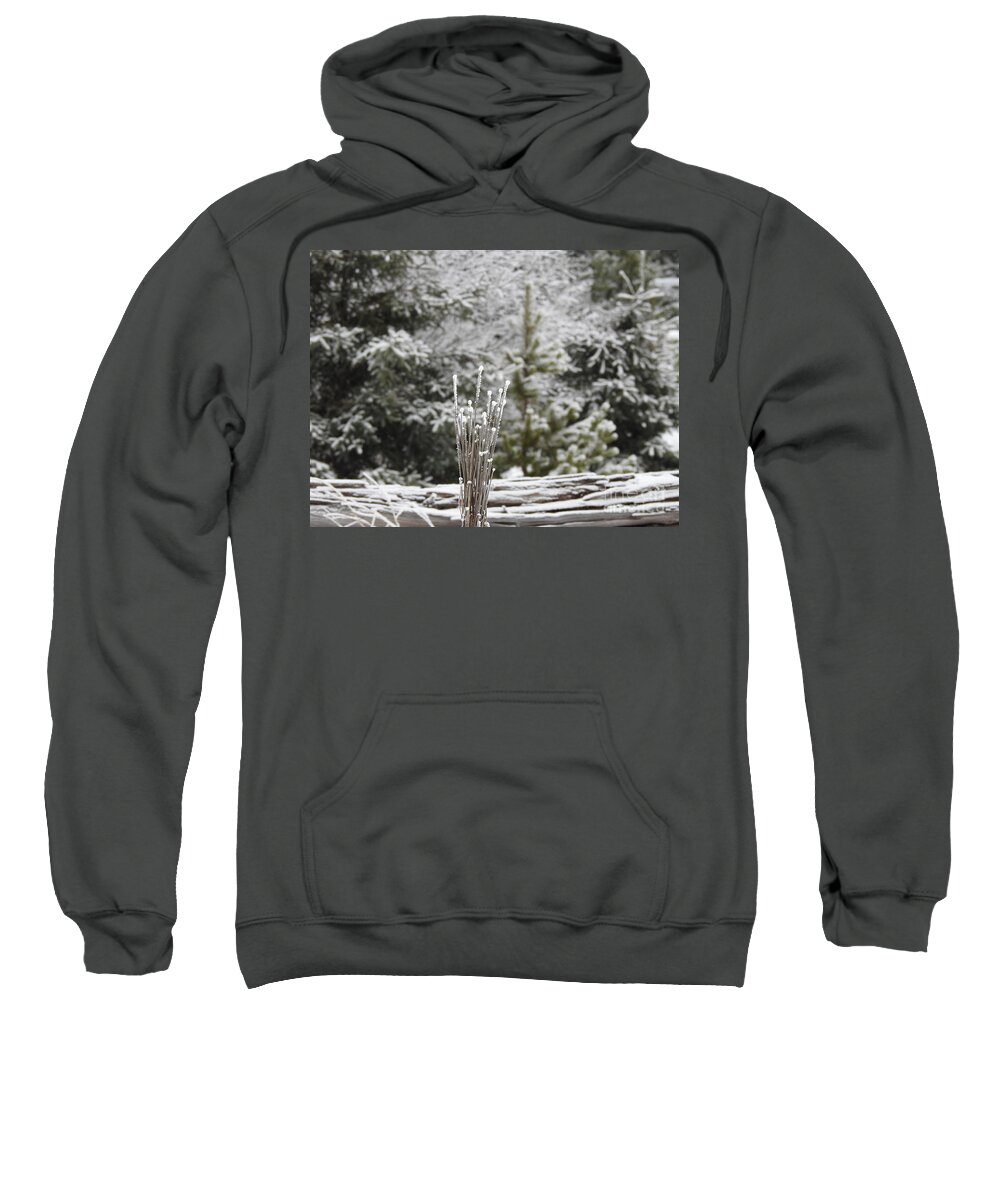 Frost Sweatshirt featuring the photograph Frosted summer by Nicola Finch