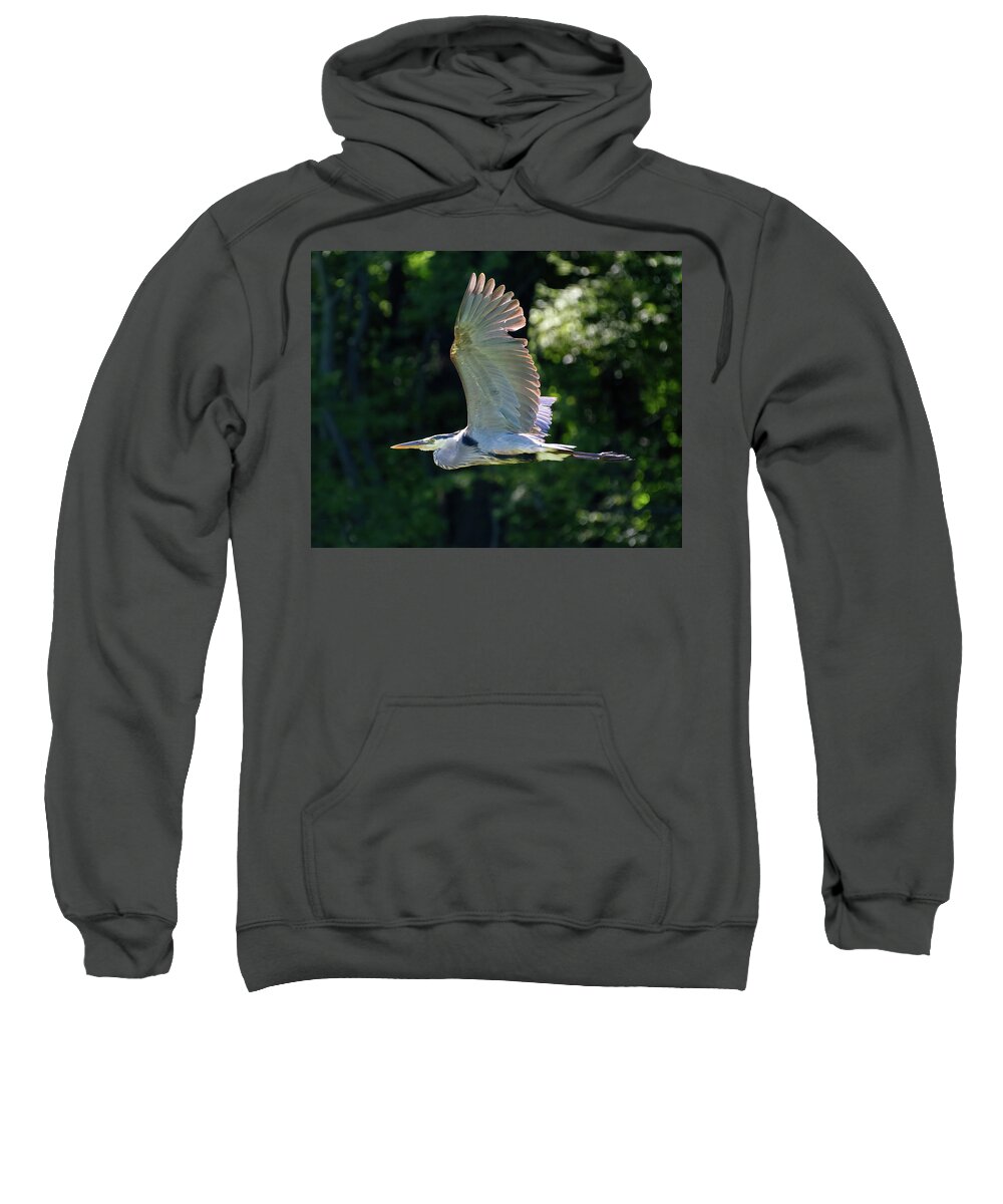 Heron Sweatshirt featuring the photograph GBH Flying Low 3 by Flinn Hackett