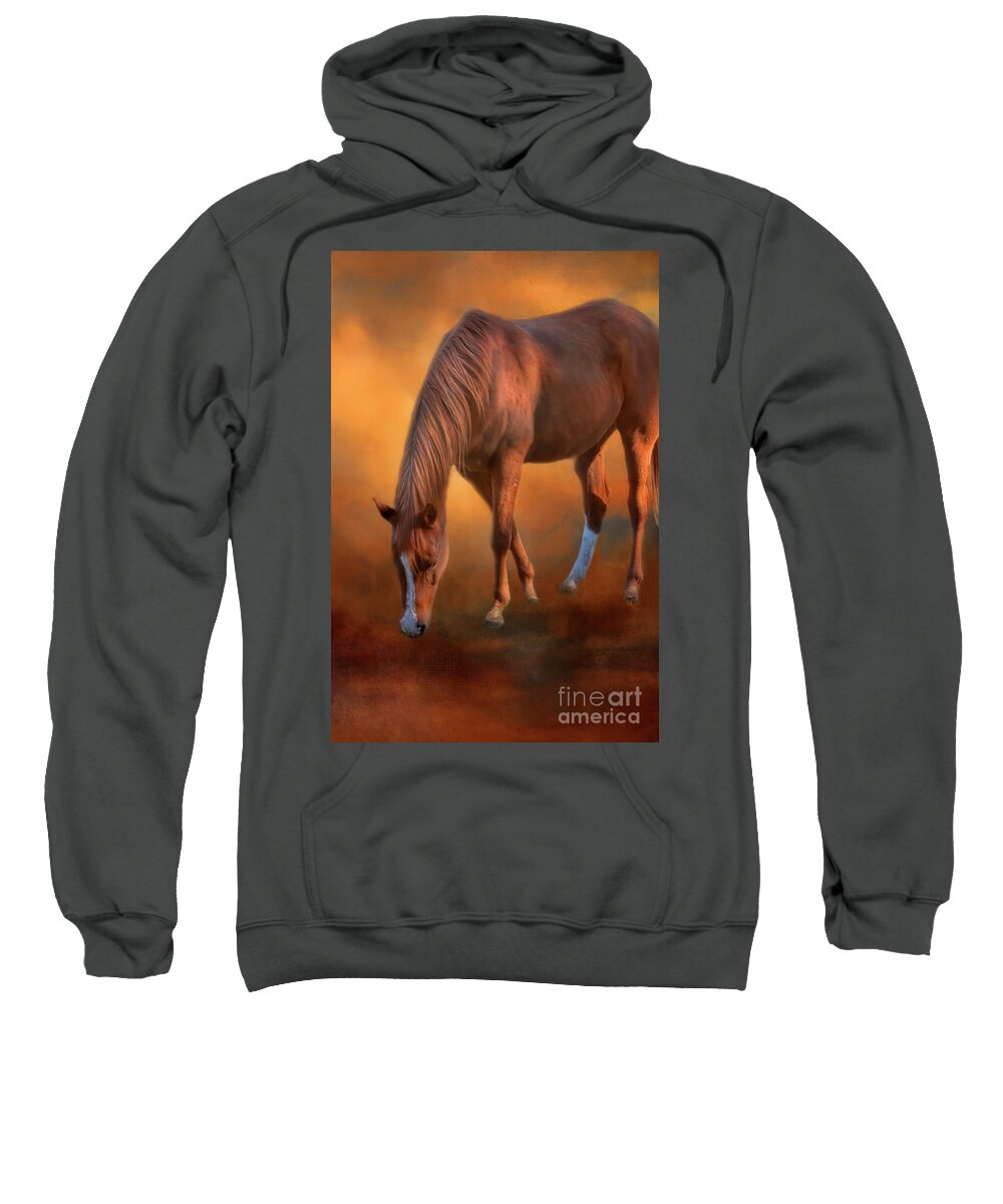 Horse Sweatshirt featuring the photograph Golden Boy by Joan Bertucci