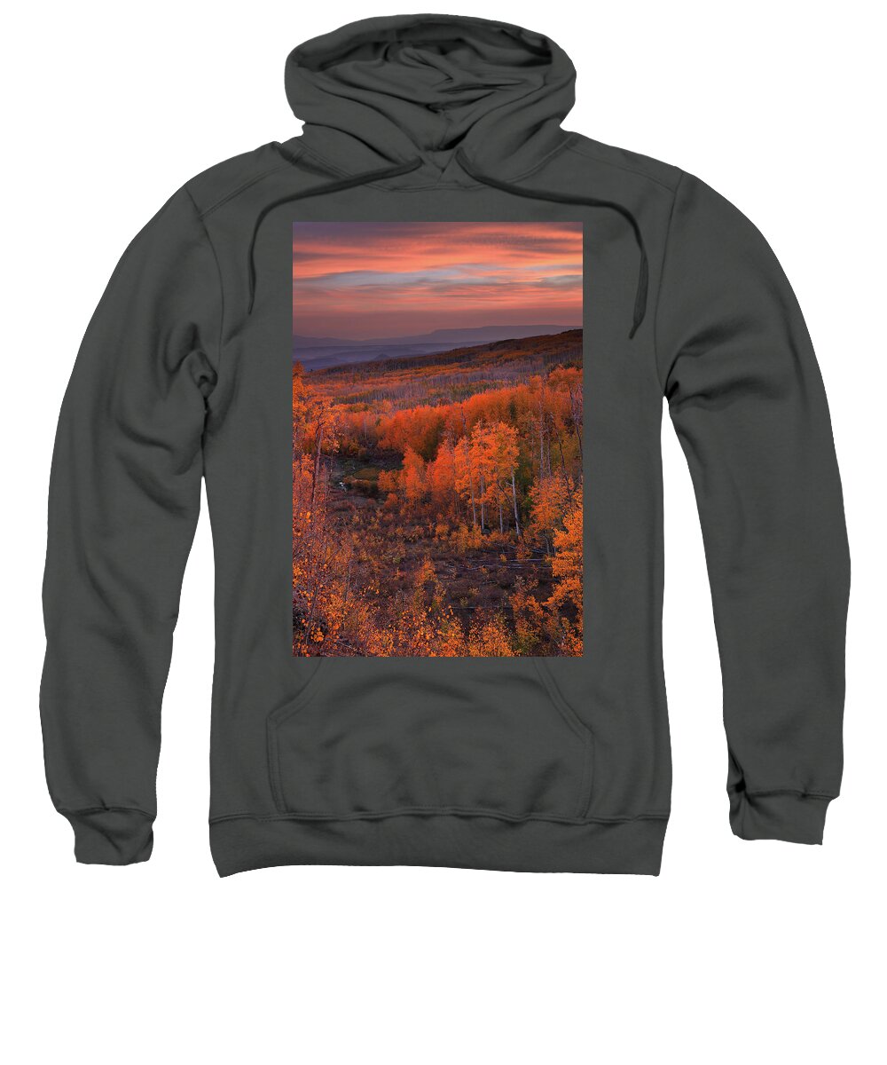 Deer Sweatshirt featuring the photograph Golden sunset at Deer Creek in the Dixie National Forest in Utah by Jetson Nguyen