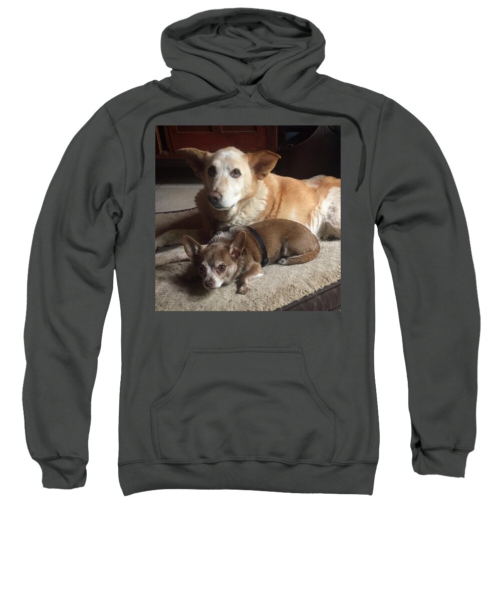 Dogs Sweatshirt featuring the photograph Goldie and Bowser by Valerie Brown