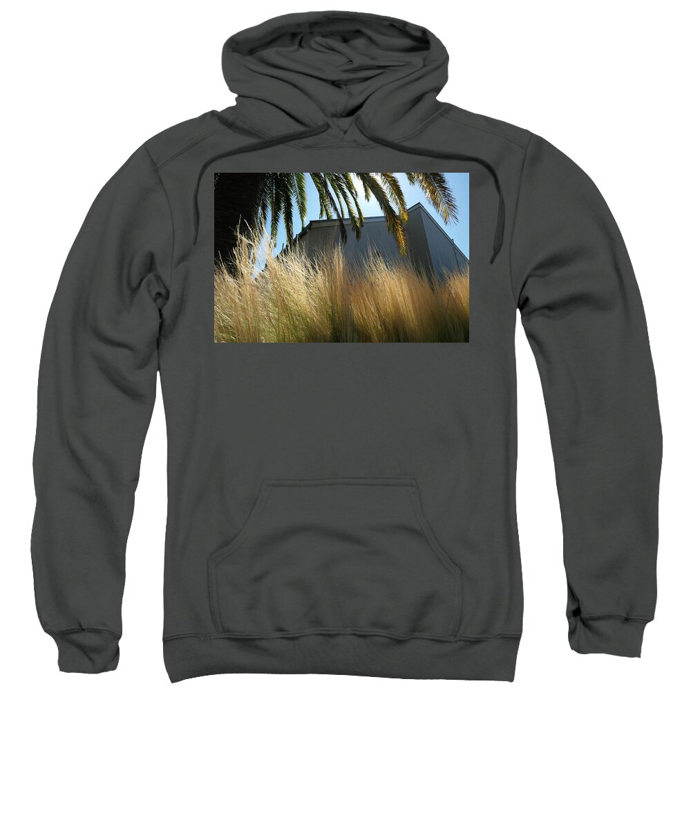 Palm Tree And Grass And Building Sweatshirt featuring the photograph Grass and Palm by John Parulis
