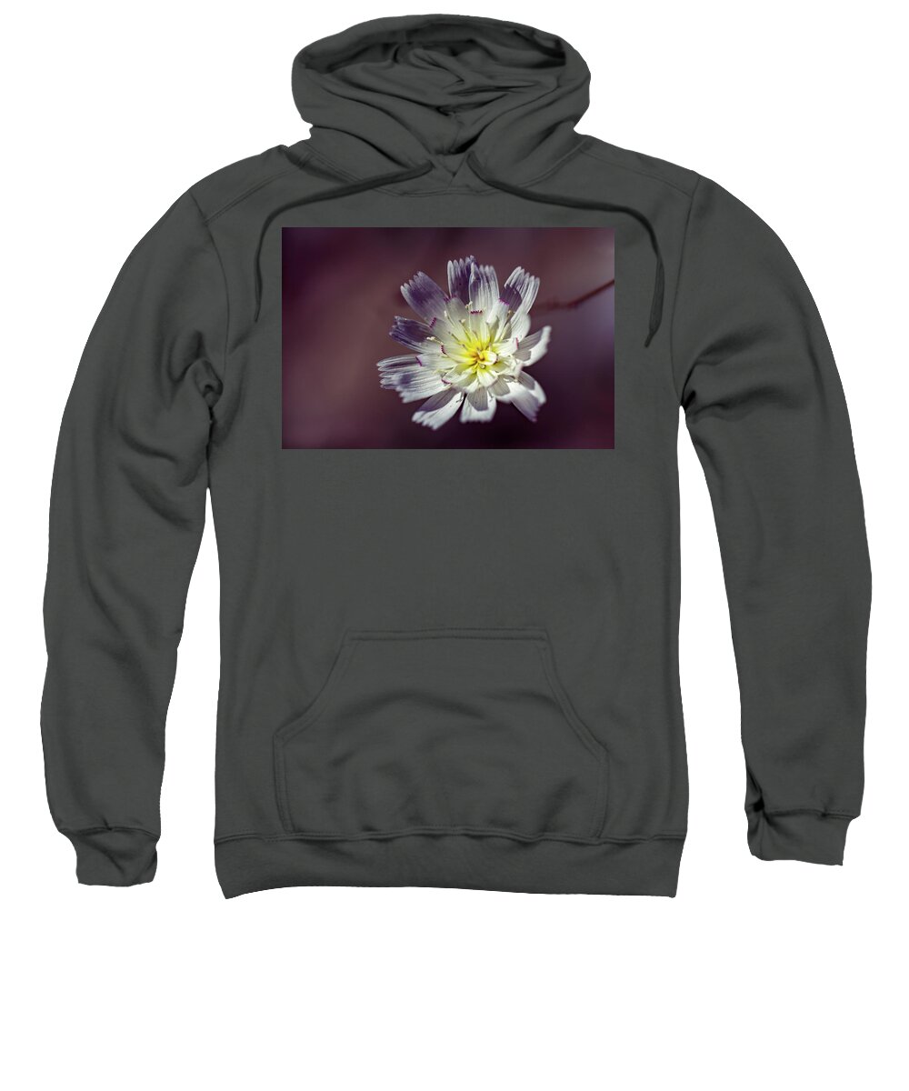 Flowers Sweatshirt featuring the photograph Gravel Ghost by Laura Roberts