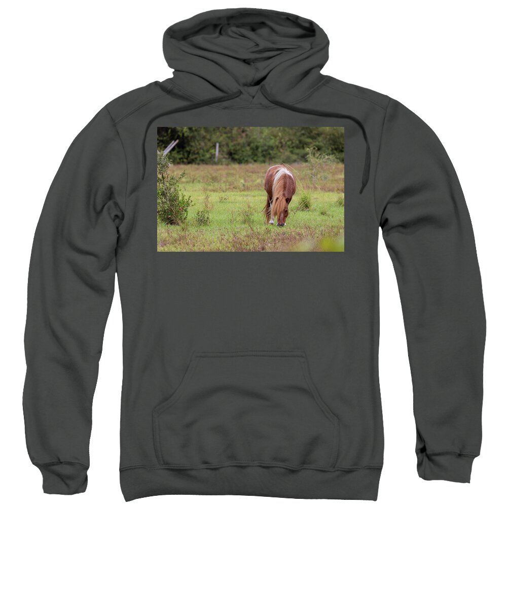 Camping Sweatshirt featuring the photograph Grazing Horse #291 by Michael Fryd