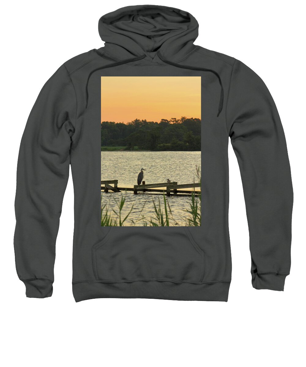 Birds Sweatshirt featuring the photograph Great Blue Heron and Seagull on Old Pier by Charles Floyd