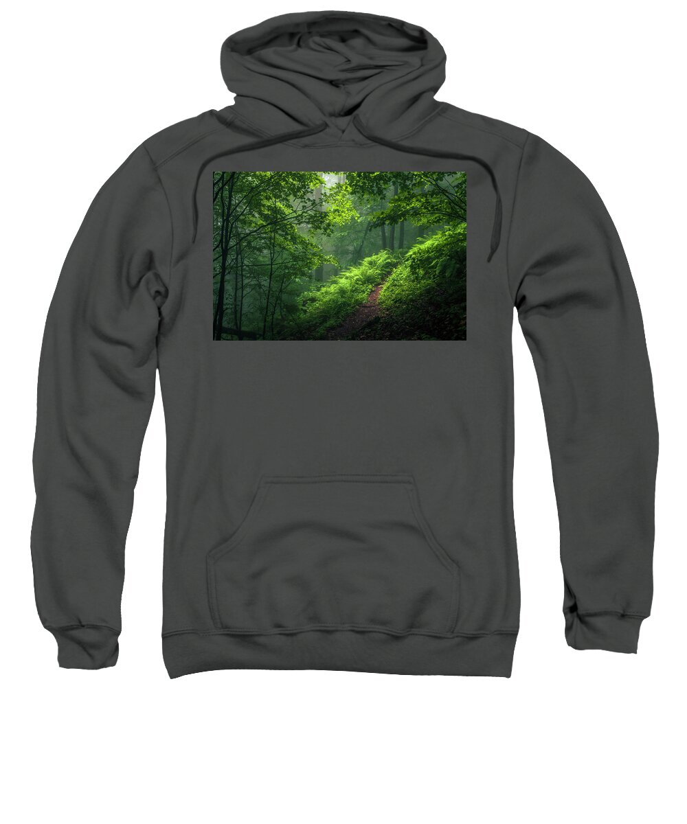 Mountain Sweatshirt featuring the photograph Green Forest by Evgeni Dinev