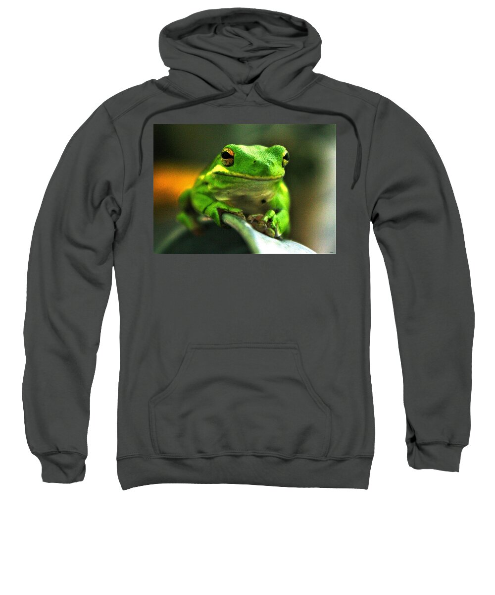 Frog Sweatshirt featuring the photograph Green Tree Frog by Bess Carter