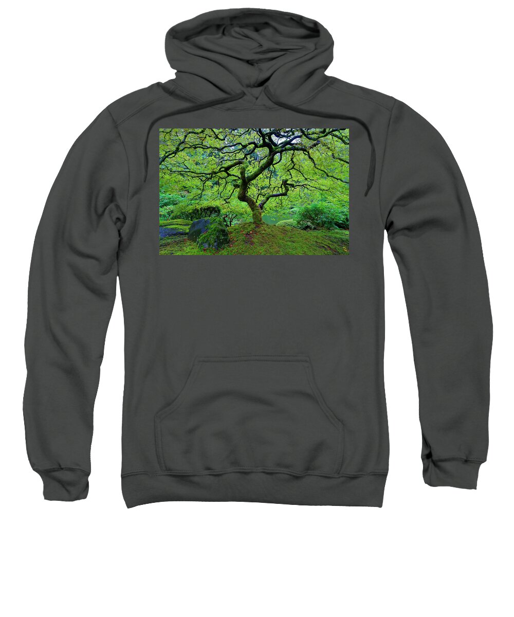 Japanese Maple Sweatshirt featuring the photograph Green With Envy by Jonathan Davison