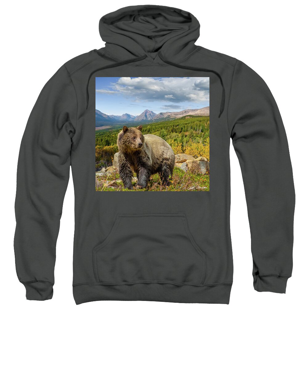 Adult Sweatshirt featuring the photograph Grizzly Bear in Glacier National Park by Jeff Goulden