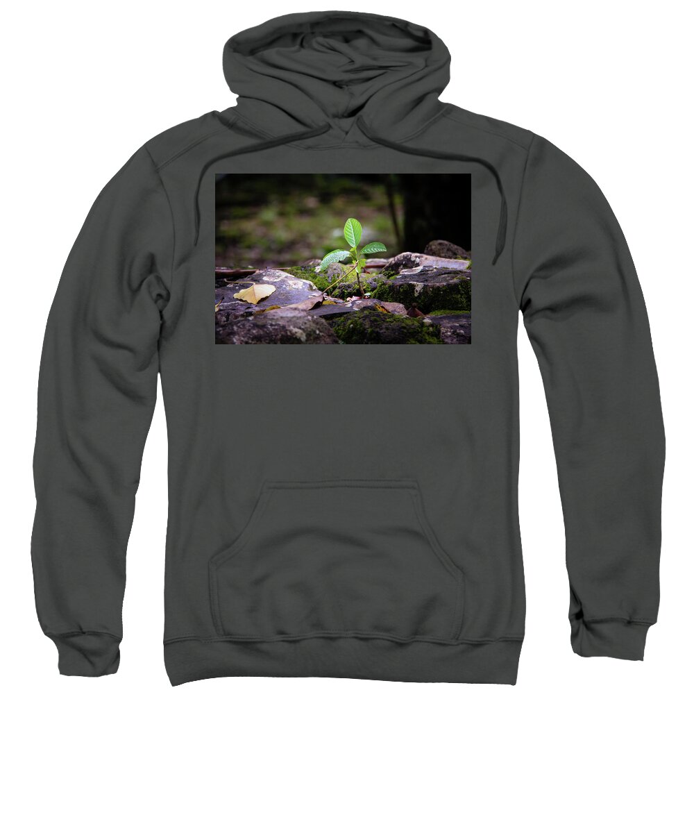 Green Sweatshirt featuring the photograph Growing in Rock by Craig A Walker