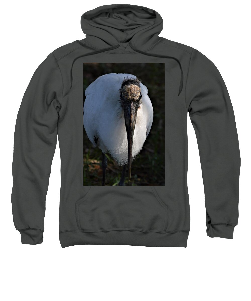 Head On Wood Stork Sweatshirt featuring the photograph Head On Wood Stork by Warren Thompson