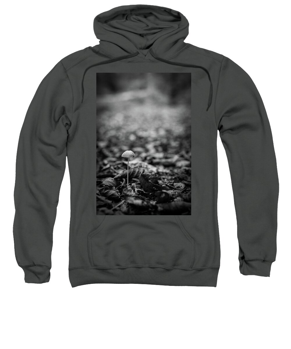 Mushroom Sweatshirt featuring the photograph Hello there little one by Gavin Lewis