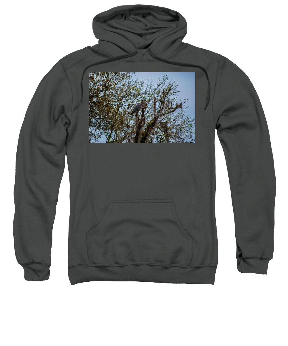 Florida Sweatshirt featuring the photograph Heron Amoung Trees by Gordon Sarti