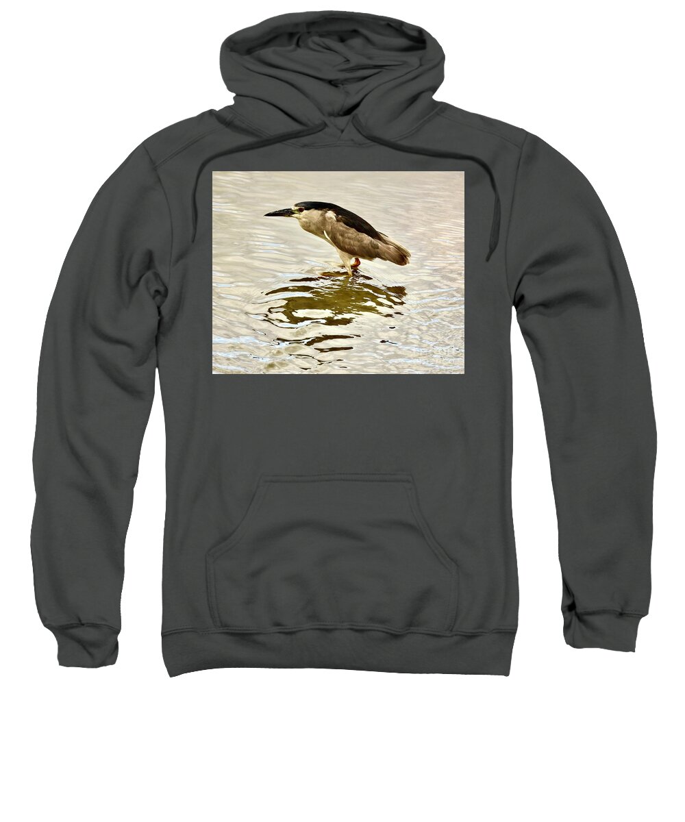 Bird Sweatshirt featuring the photograph Heron Search For Fish by Craig Wood