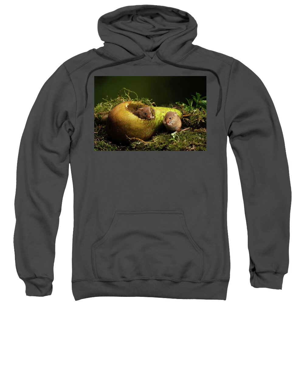 Harvest Sweatshirt featuring the photograph Hm-02915 by Miles Herbert