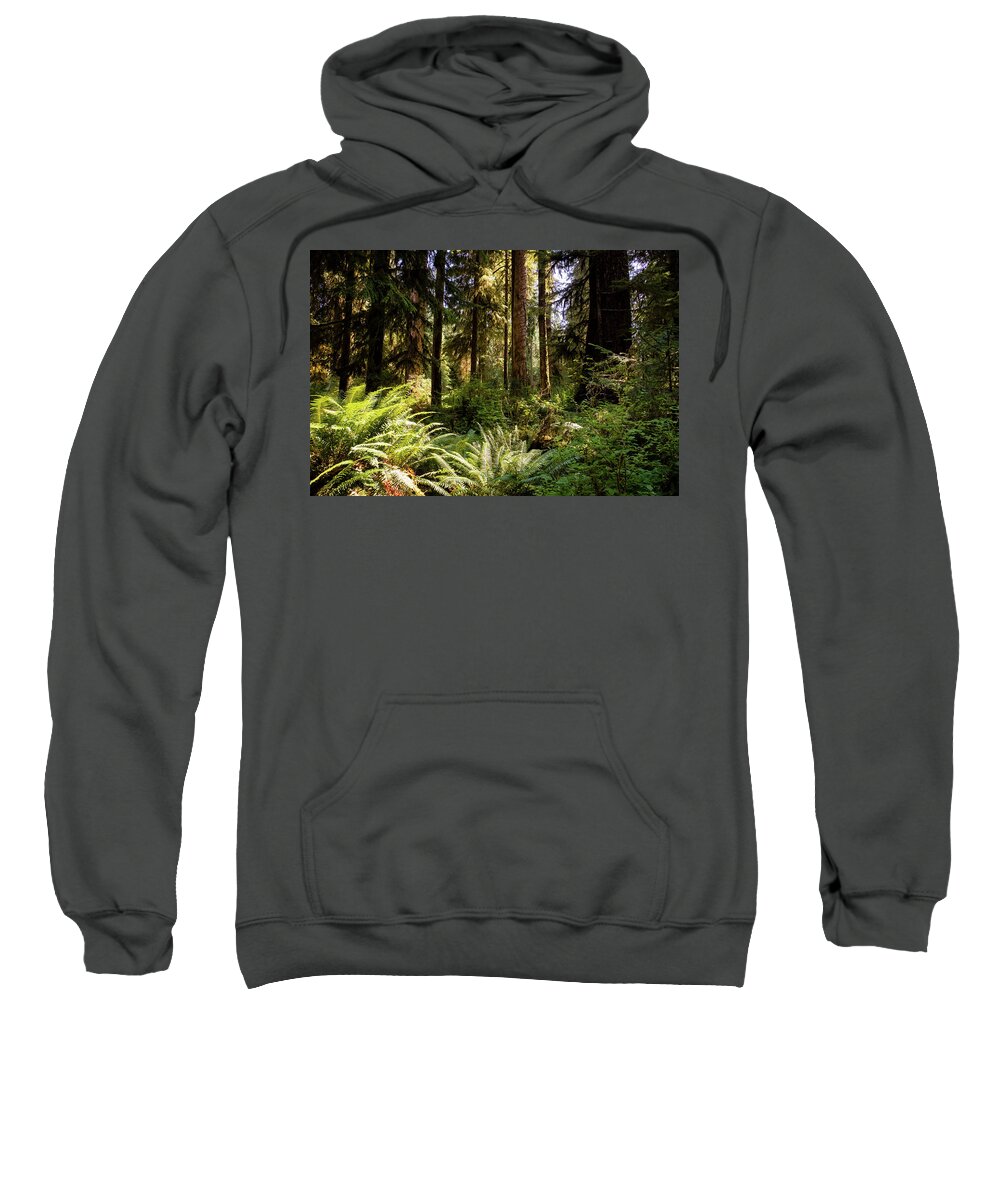 Washington Sweatshirt featuring the photograph Hoh forest #1 by Alberto Zanoni