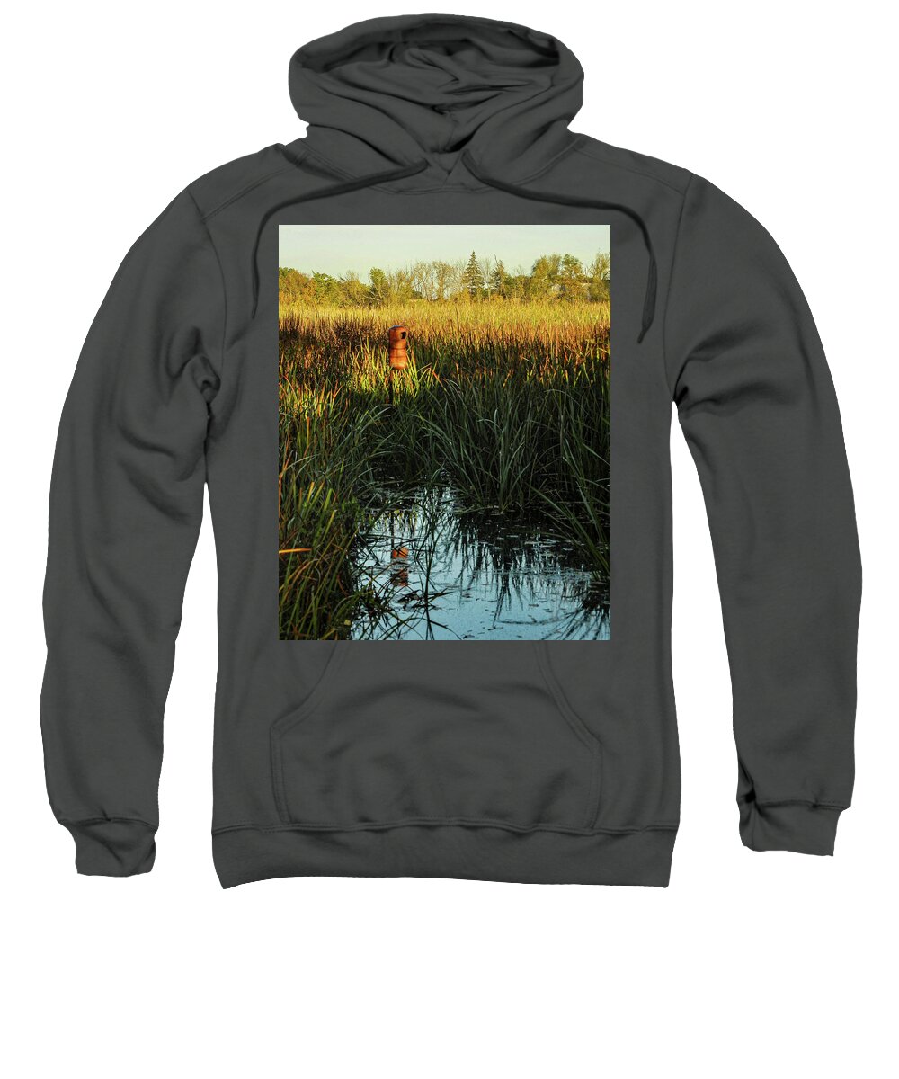 Landscape Sweatshirt featuring the photograph Home by Susie Loechler