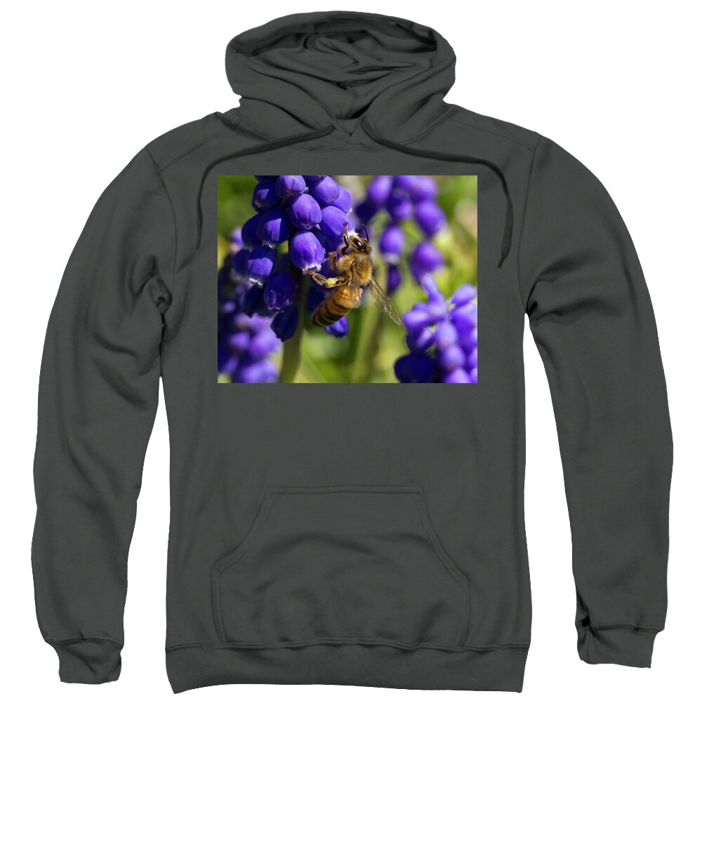 Bee Sweatshirt featuring the photograph Honey Bee by David Beechum