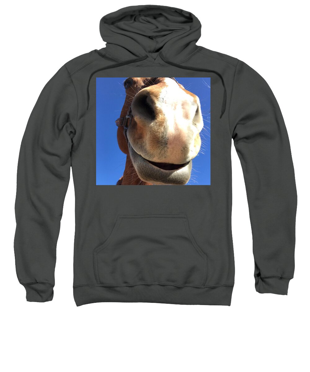 Horse Sweatshirt featuring the photograph Horse Grin by Christy Garavetto
