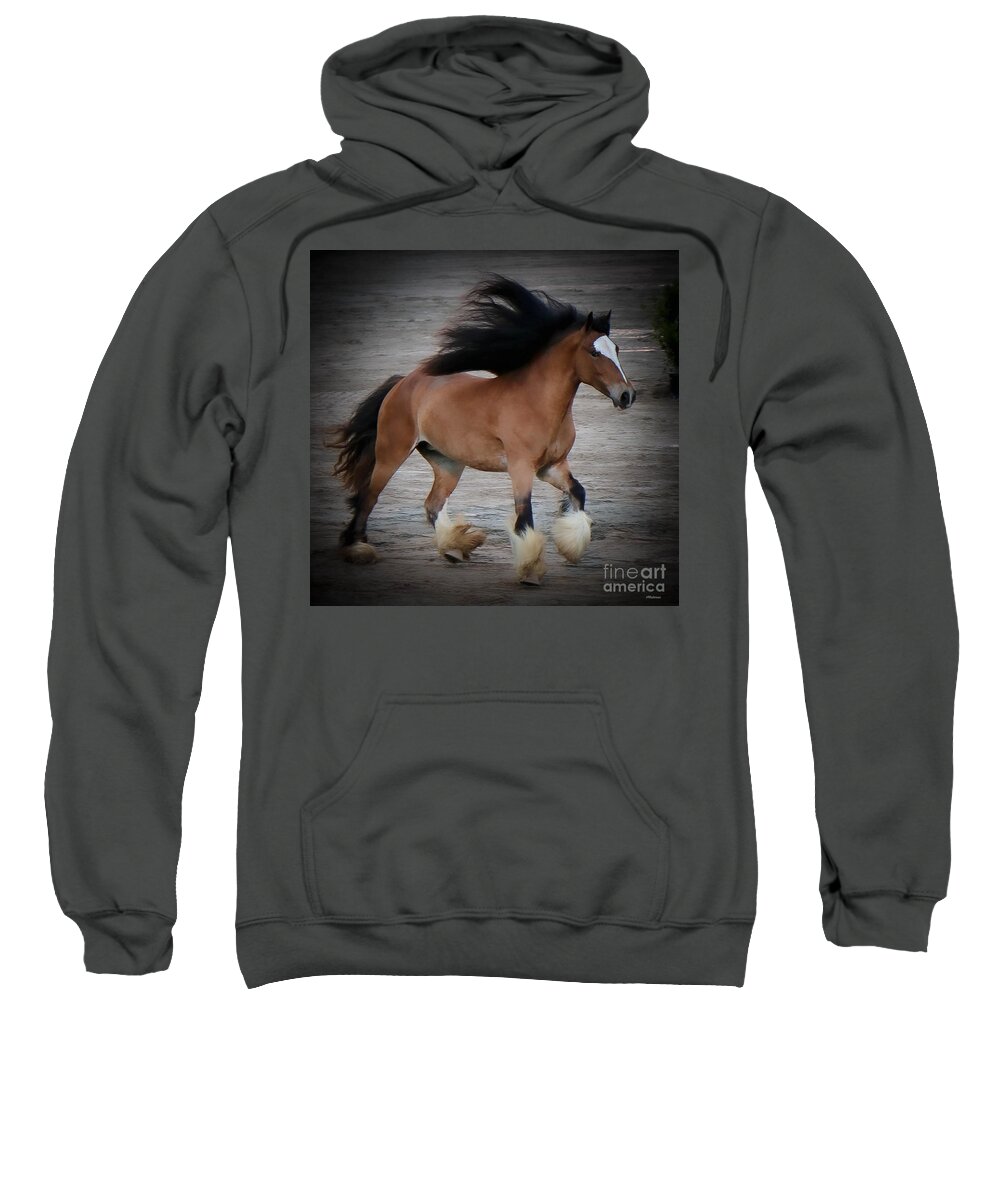 Horse Sweatshirt featuring the photograph Horse Show Germantown Tennessee II by Veronica Batterson