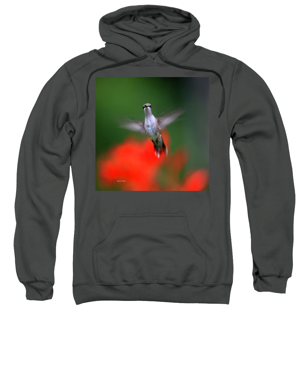 Hummingbird Sweatshirt featuring the photograph Hummer Flight by Dale R Carlson