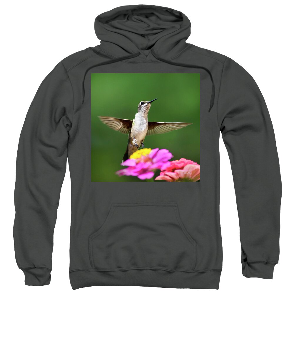 Hummingbird Sweatshirt featuring the photograph Hummingbird by Christina Rollo