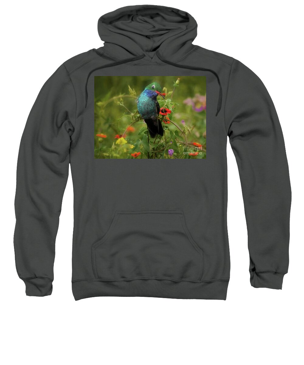 Hummingbird Sweatshirt featuring the photograph Hummingbird With Wild Flowers by John Kolenberg