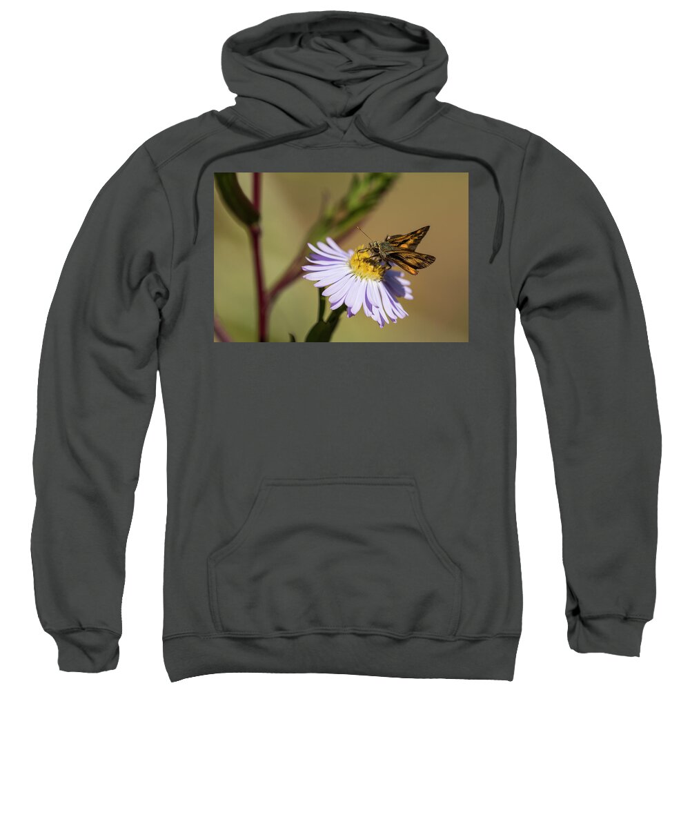Animals Sweatshirt featuring the photograph Hungry Skipper by Robert Potts