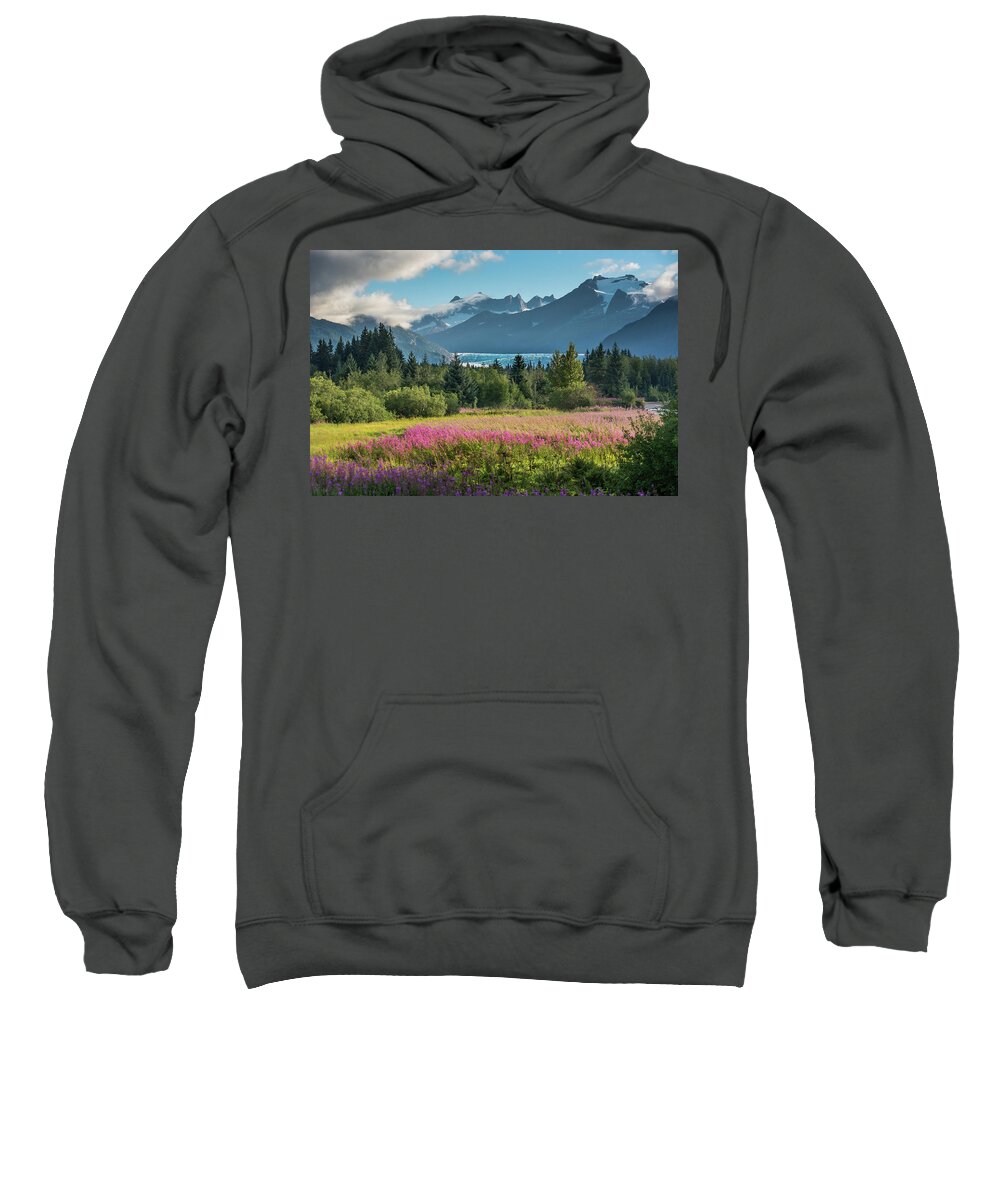 Fireweed Sweatshirt featuring the photograph Ice over Fireweed by David Kirby