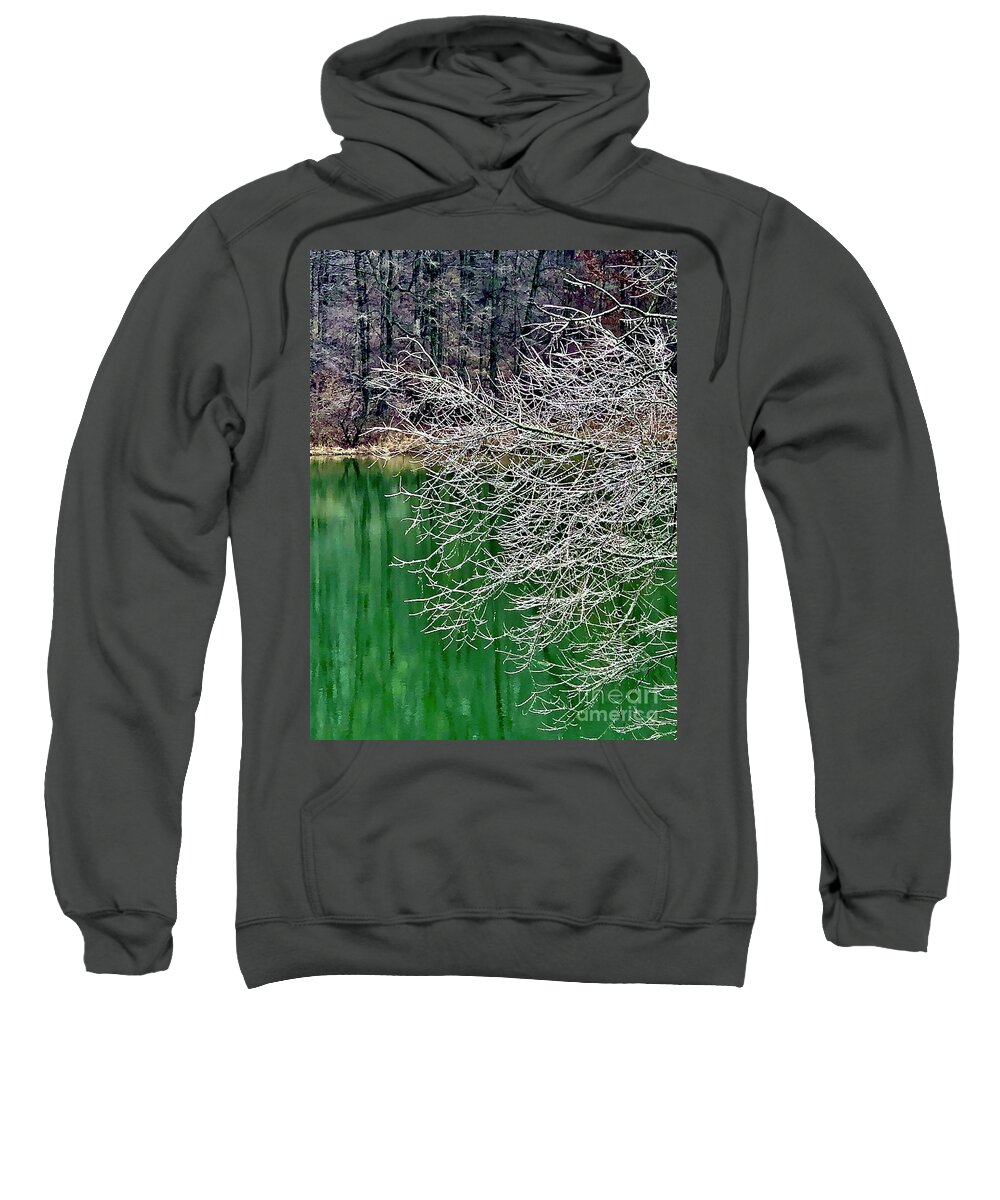 Craig Sweatshirt featuring the photograph Ice Tree Over Lake by Craig Walters