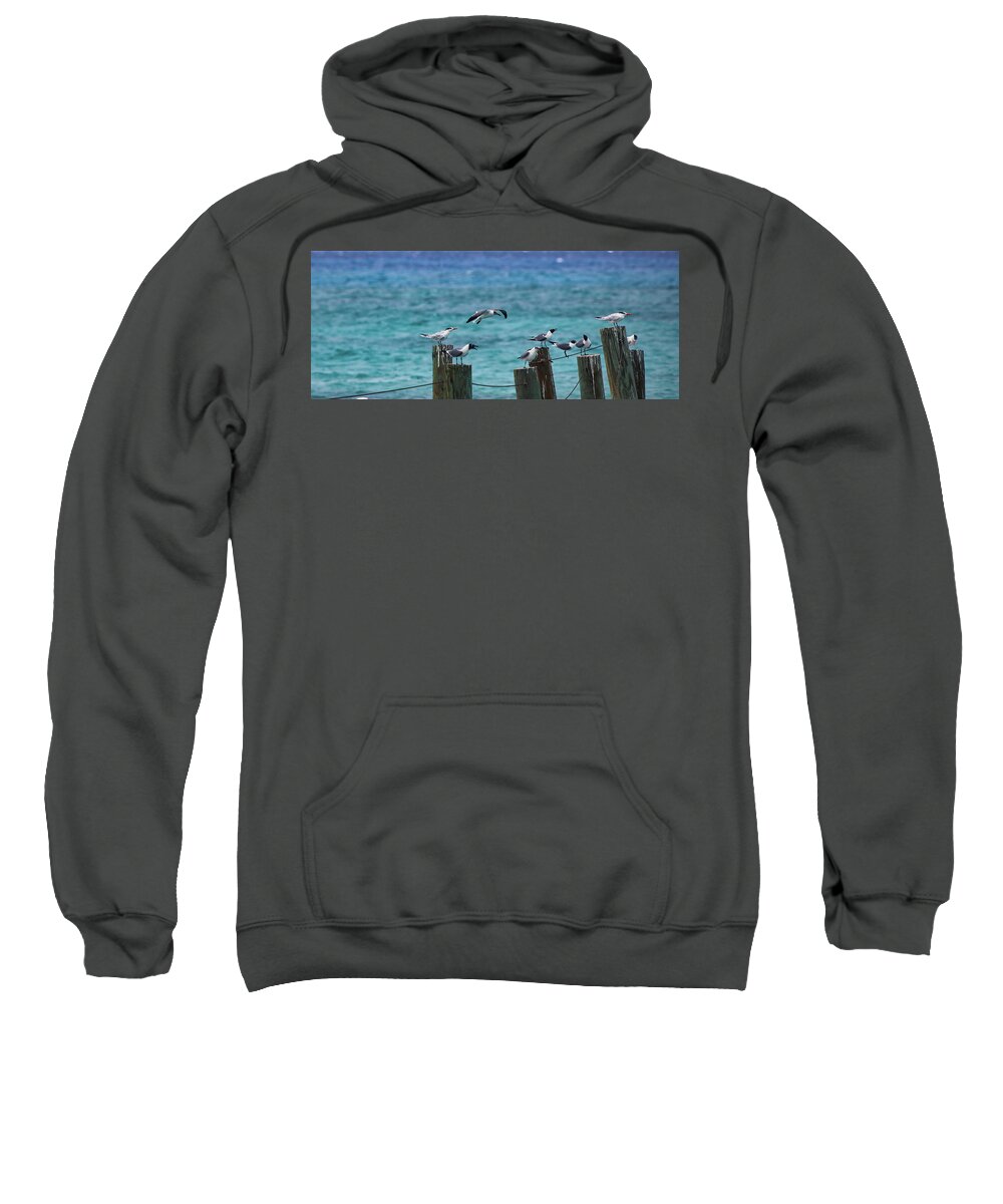 Caribbean Sea Sweatshirt featuring the photograph In Coming by Scott Burd