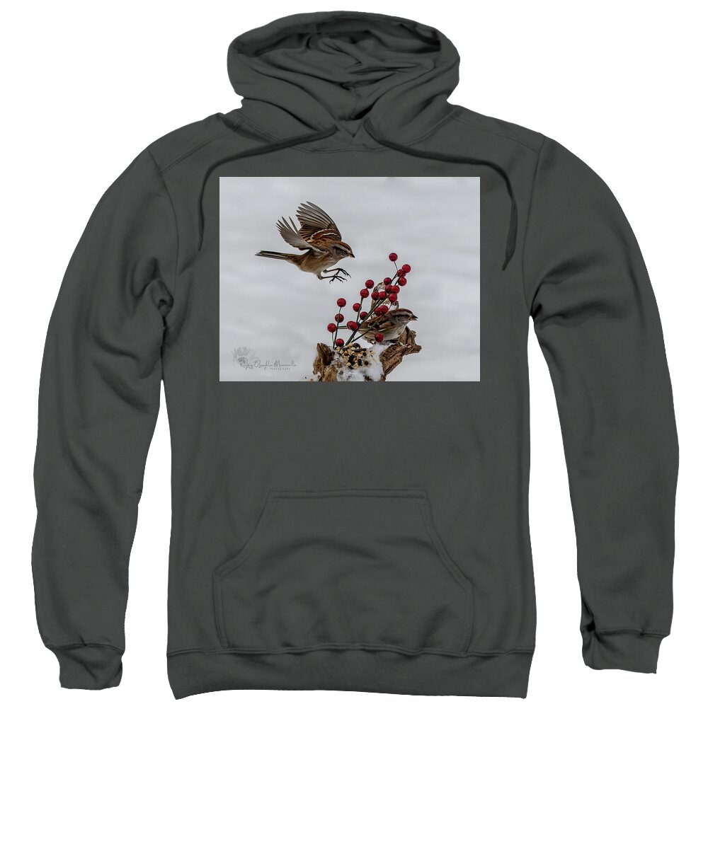 Sparrow Sweatshirt featuring the photograph In for a Landing by Regina Muscarella