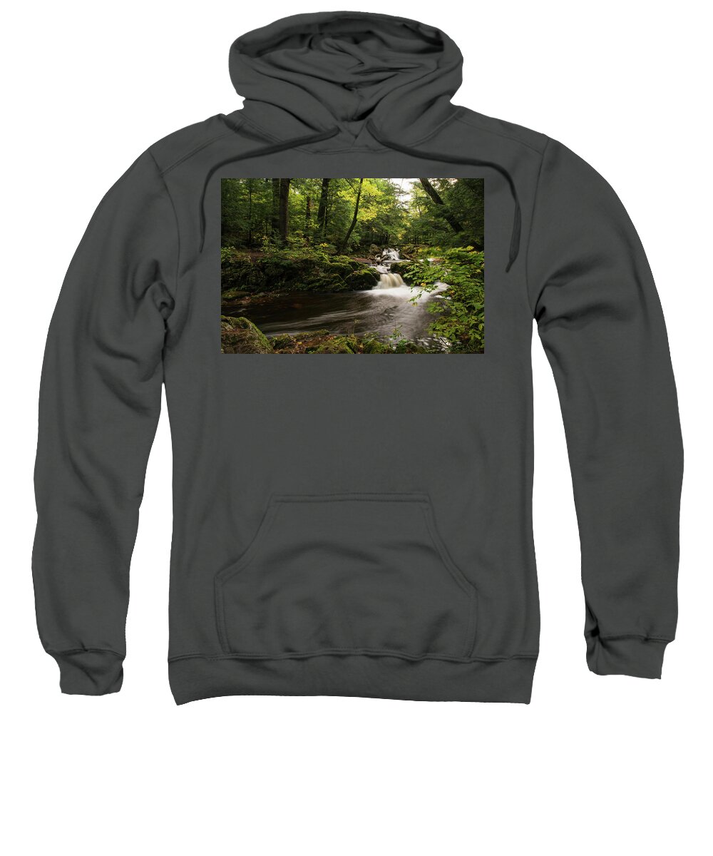 Fall Sweatshirt featuring the photograph In the Forest by Linda Shannon Morgan