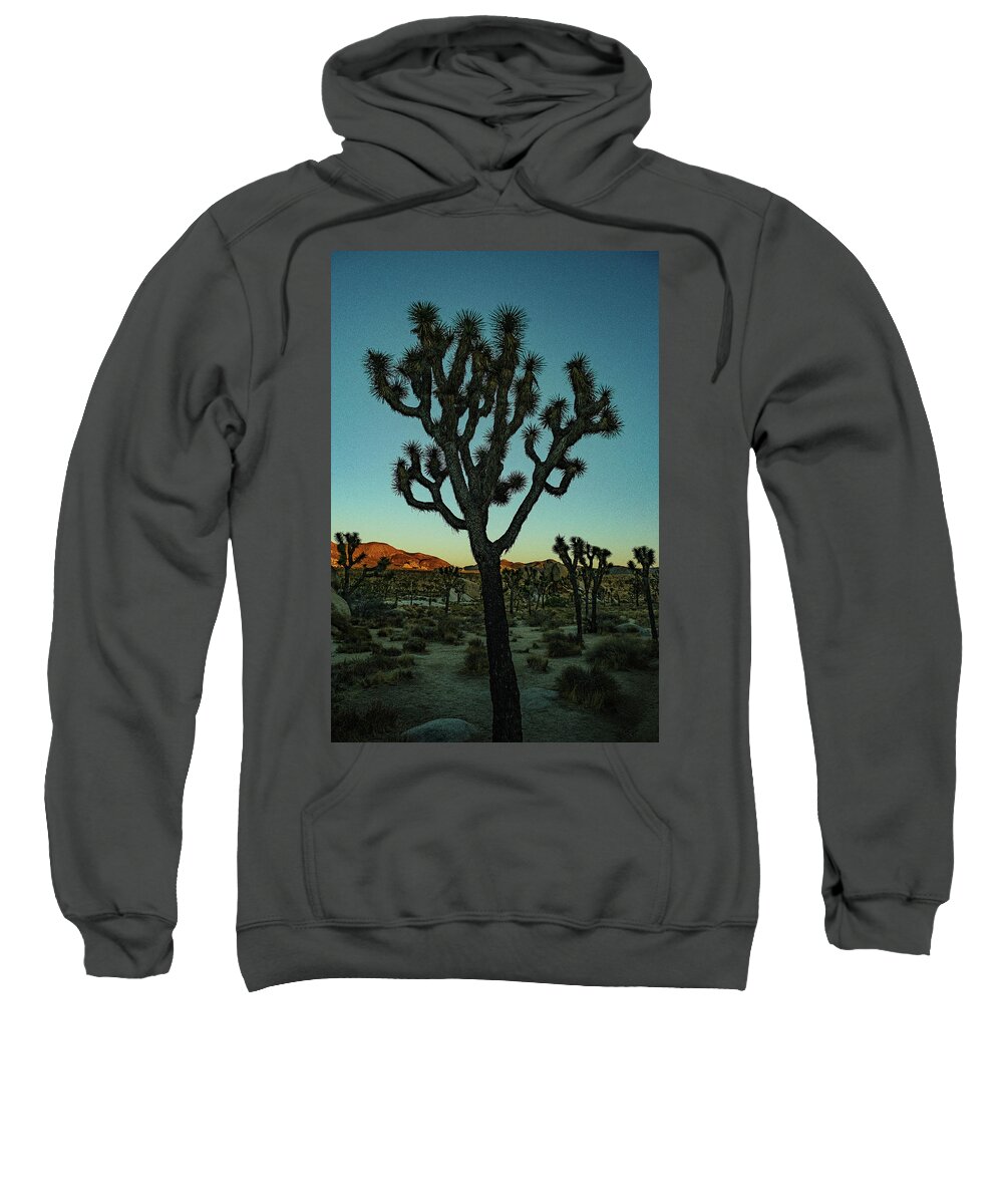 Landscape Sweatshirt featuring the photograph Joshua Tree by Jermaine Beckley