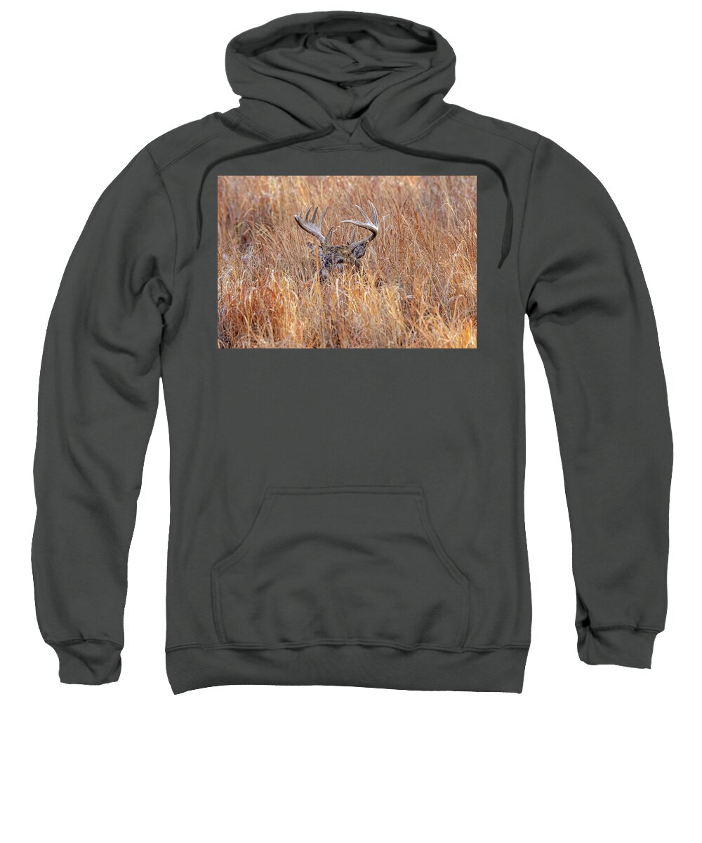 Deer Sweatshirt featuring the photograph Keeping and Eye On You by D Robert Franz